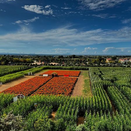 Appartamento La Rondine Pignataro Maggiore エクステリア 写真