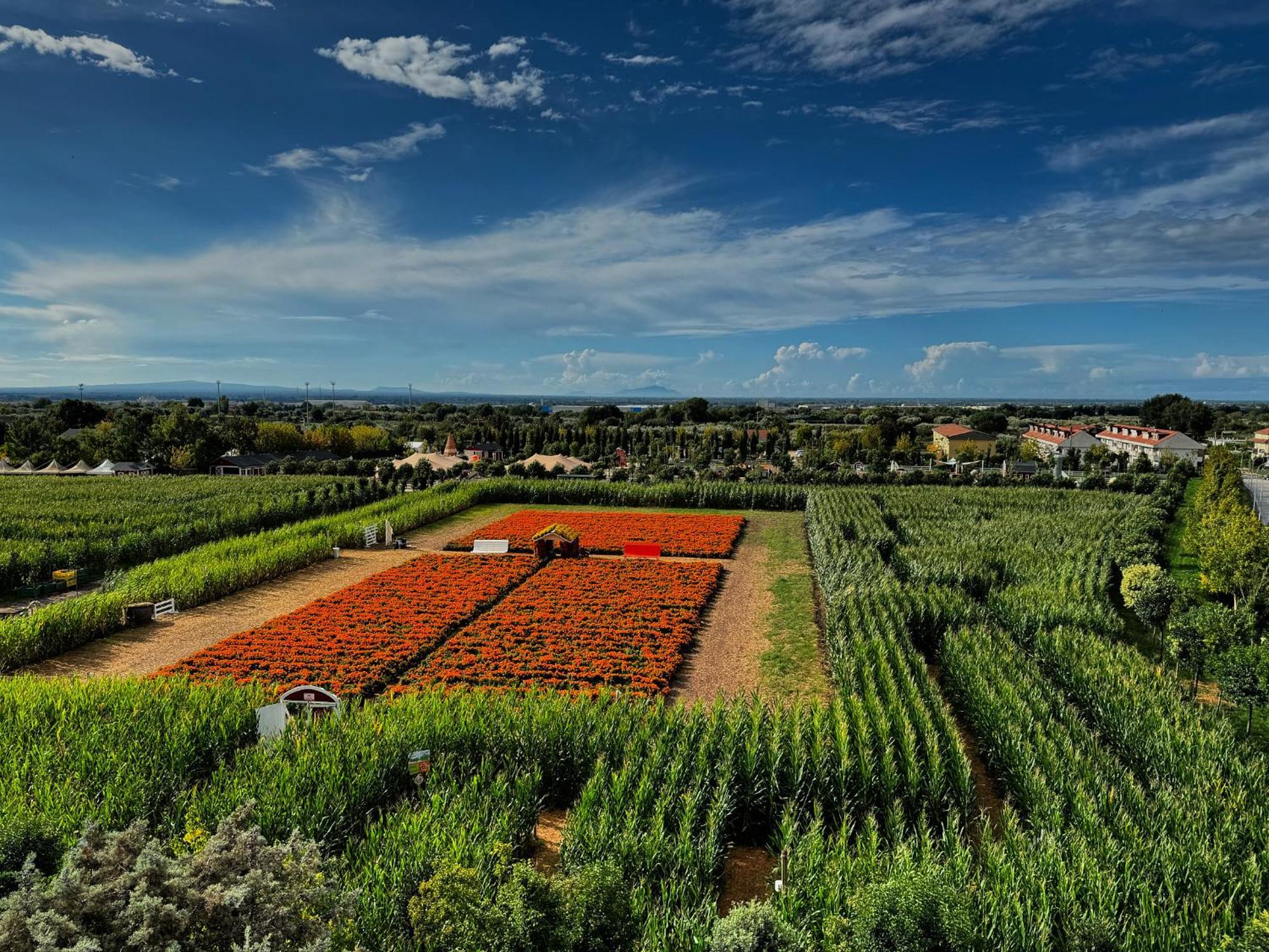 Appartamento La Rondine Pignataro Maggiore エクステリア 写真